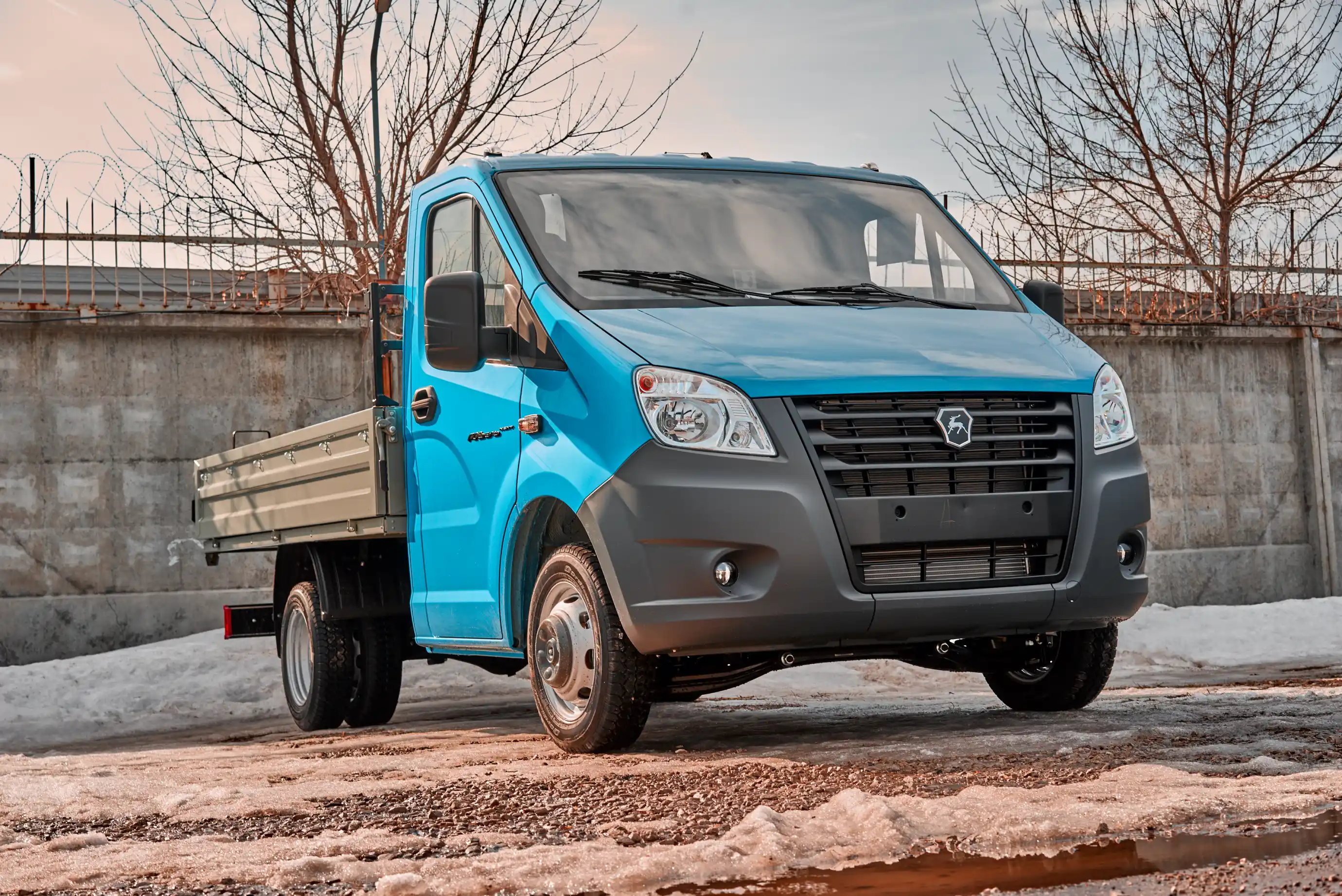 Gazelle NEXT Bort 07